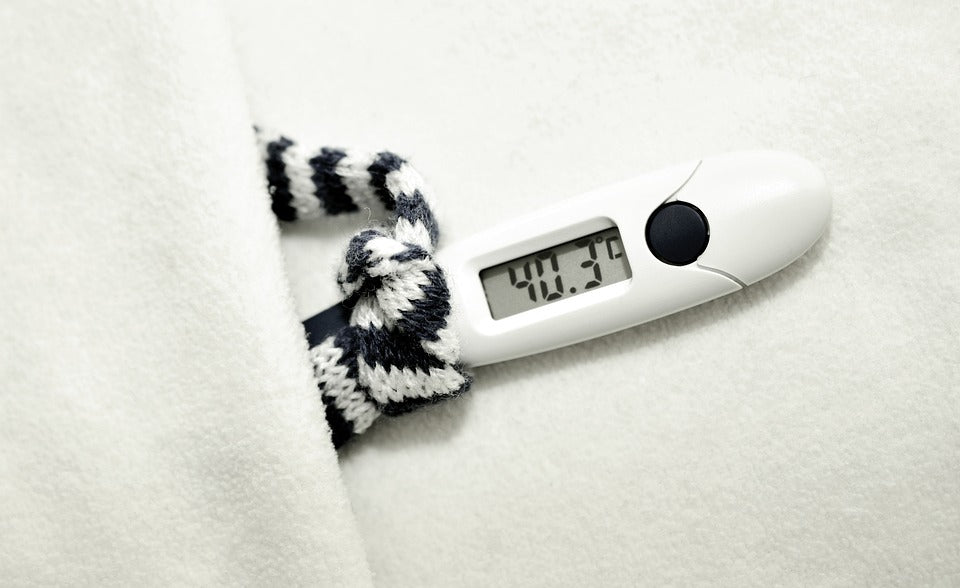 Integratori Alimentari contro l'Influenza: Come Recuperare le Energie