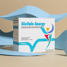 Immagine di BioVale Energy
